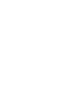 Sonic Identity